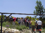 Hiking Trip To jezzine