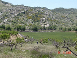 Hiking Trip To jezzine