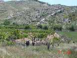 Hiking Trip To jezzine