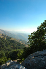 Jezzine