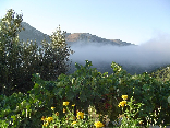 Morning mist over Mlikh