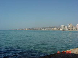 Saida