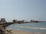 Saida