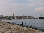 Tyre Fishermen