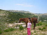 Hiking Trip To jezzine