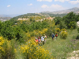 Hiking Trip To jezzine