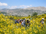 Hiking Trip To jezzine