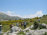 Hiking Trip To jezzine