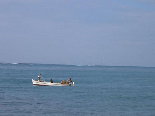 Fishermen in Tyre