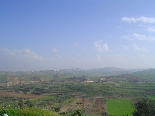 Gorgeous Green