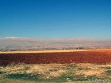 Bekaa