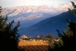 View of Mount Lebanon from the Ksara winery