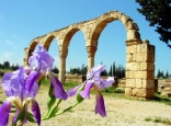 Anjar