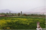 Bekaa