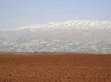 Bekaa