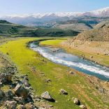 Bekaa Valley