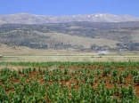 Bekaa Valley