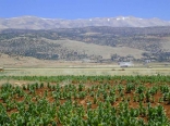 Bekaa Valley