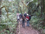 Hiking To Kilimanjaro, Tanzania Sept 2008- First Hiking Day