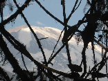 Hiking To Kilimanjaro, Tanzania Sept 2008- First Sight of Kilimanjaro