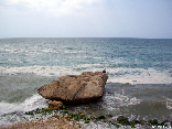 Lebanon Summer 20083673