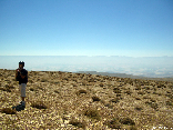 Lebanon Summer 2008