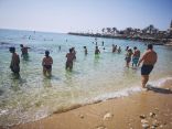 Barracuda Beach Batroun