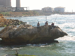 Summer 2008