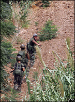 Nahr el Bared Clashes