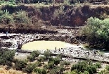 Israel Attacks Lebanon July 2006