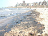 Shores Pollution